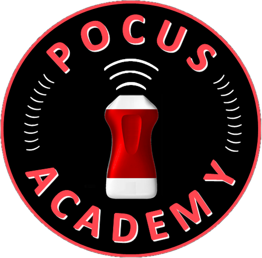 Logo Aurus